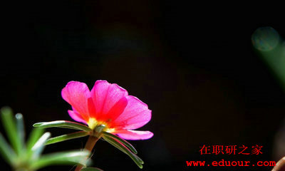 北京理工大学在职研究生的论文答辩的流程是什么?