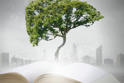 华东师范大学在职研究生学习方式