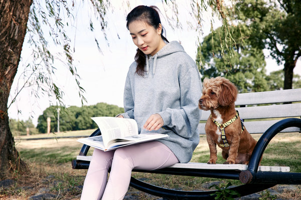 戏剧与影视学在职研究生考试难度及考试科目和内容