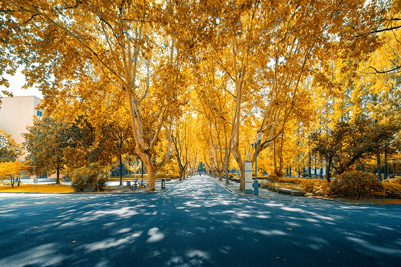 同济大学图集三