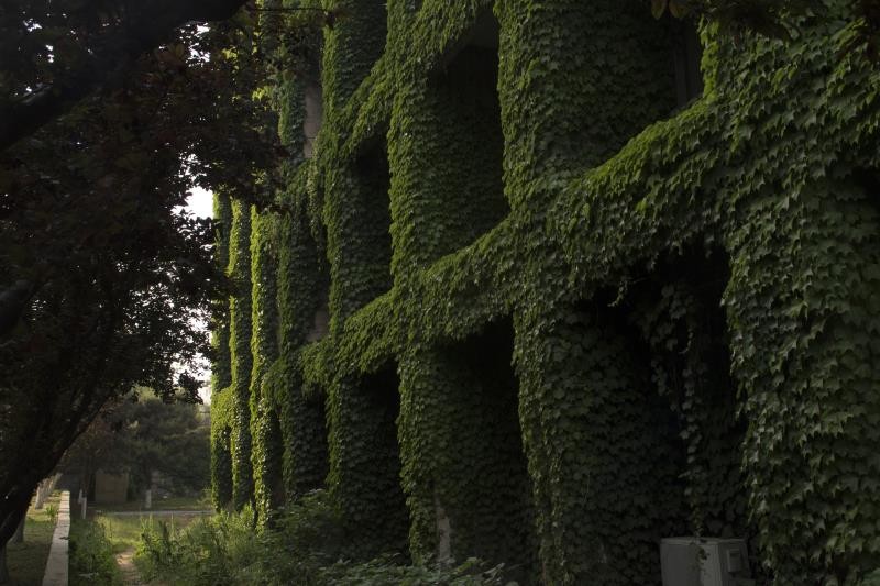 燕山大学图集三