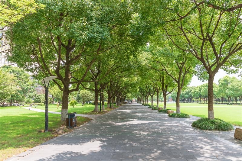 北京林业大学图集三