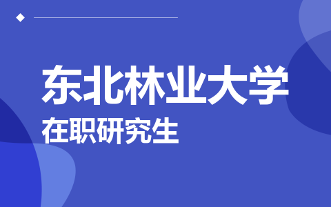 东北林业大学在职研究生