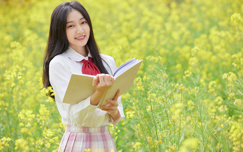 2026年东北农业大学在职研究生报考条件及要求是什么？