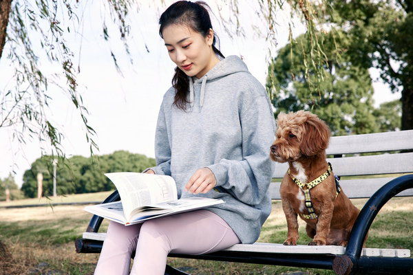 英国伦敦城市大学在职研究生招生专业及学费学制