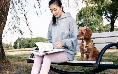 2025年石家庄铁道大学非全日制研究生
