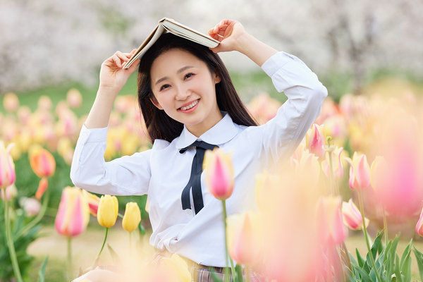 国际法学在职研究生报考优势