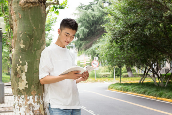 西北大学在职研究生网上报名入口